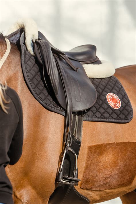 hermes sellerie cheval|equipement équitation hermes.